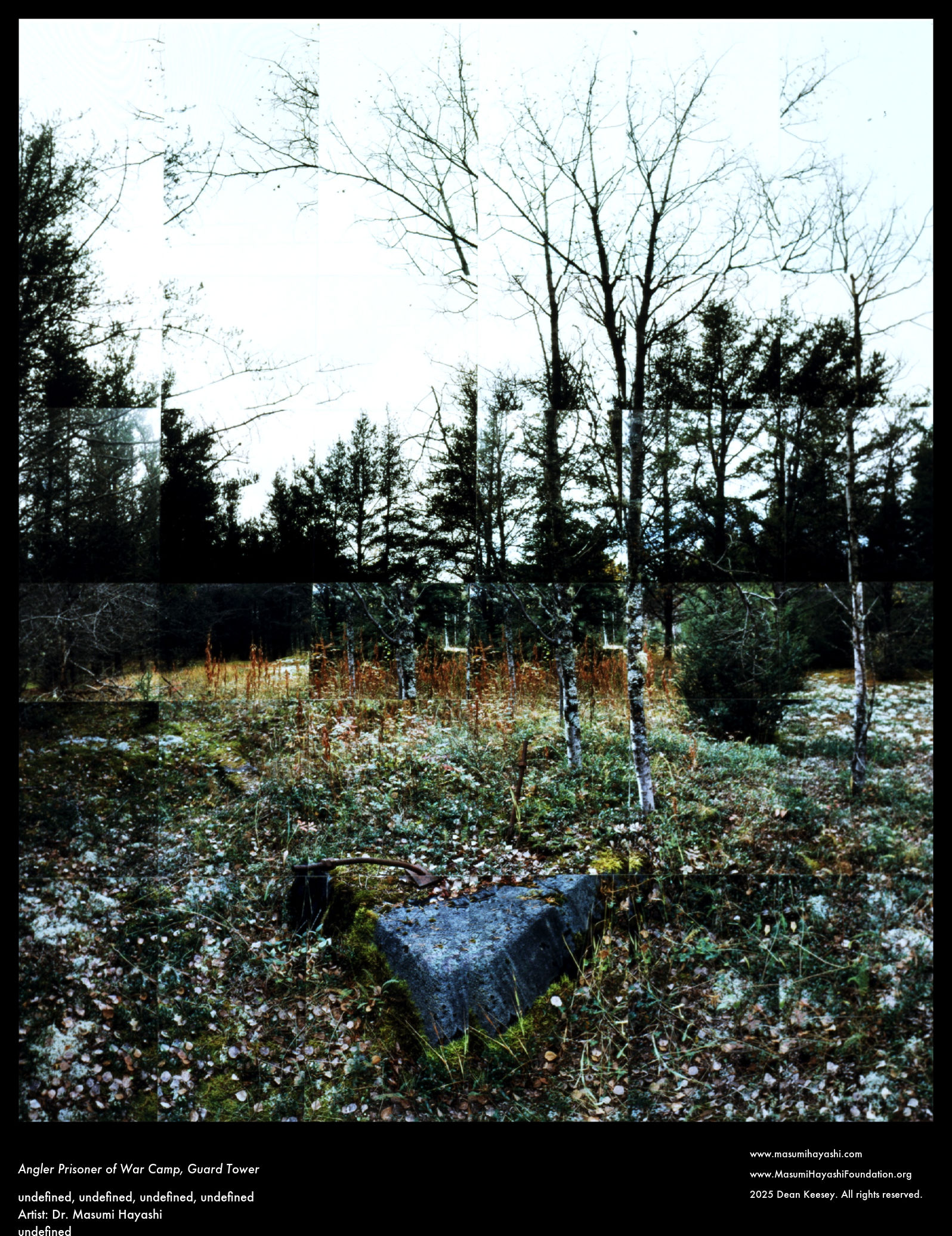Angler Prisoner of War Camp, Guard Tower by Dr. Masumi Hayashi