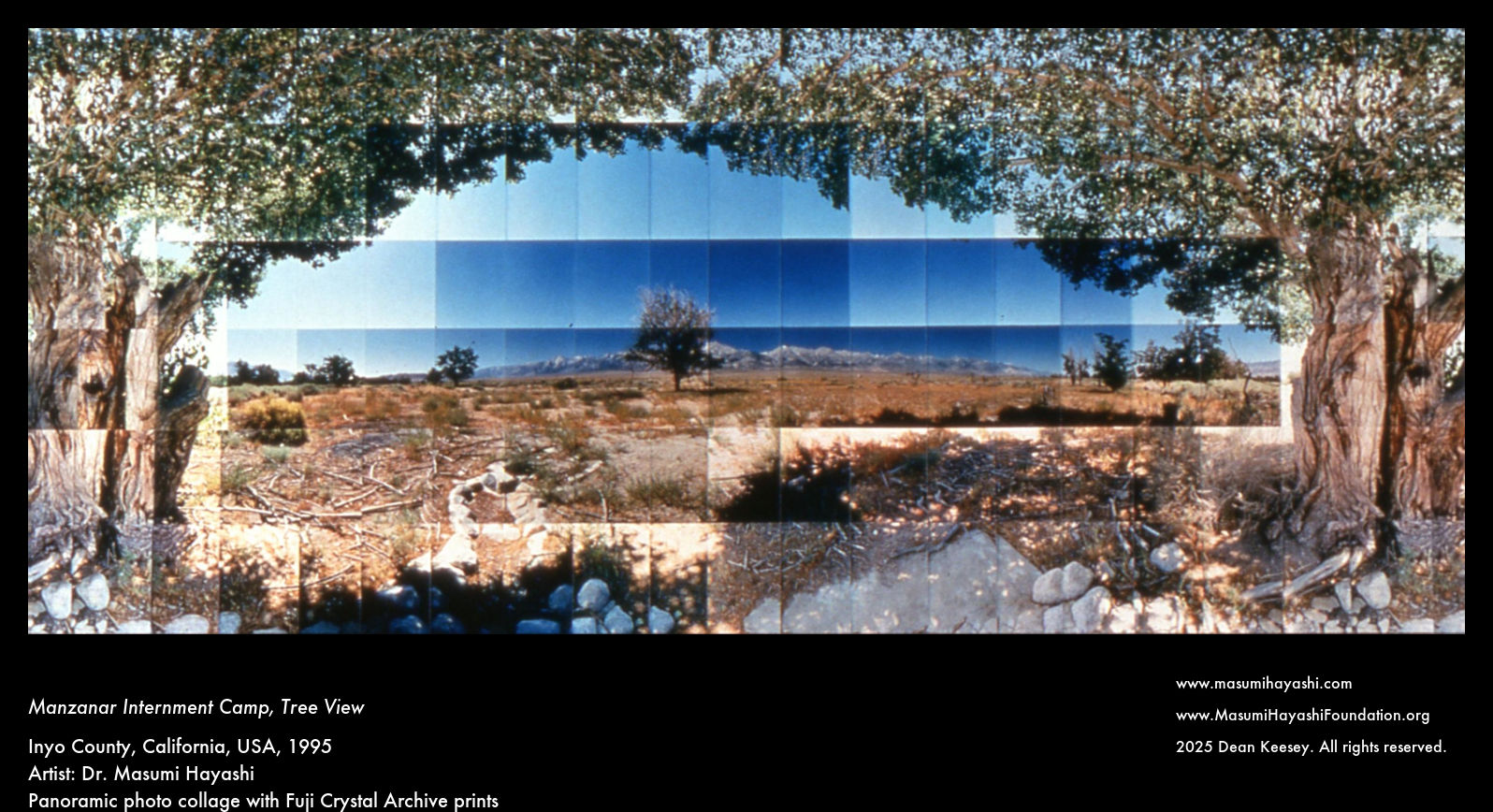 Manzanar Internment Camp, Tree View