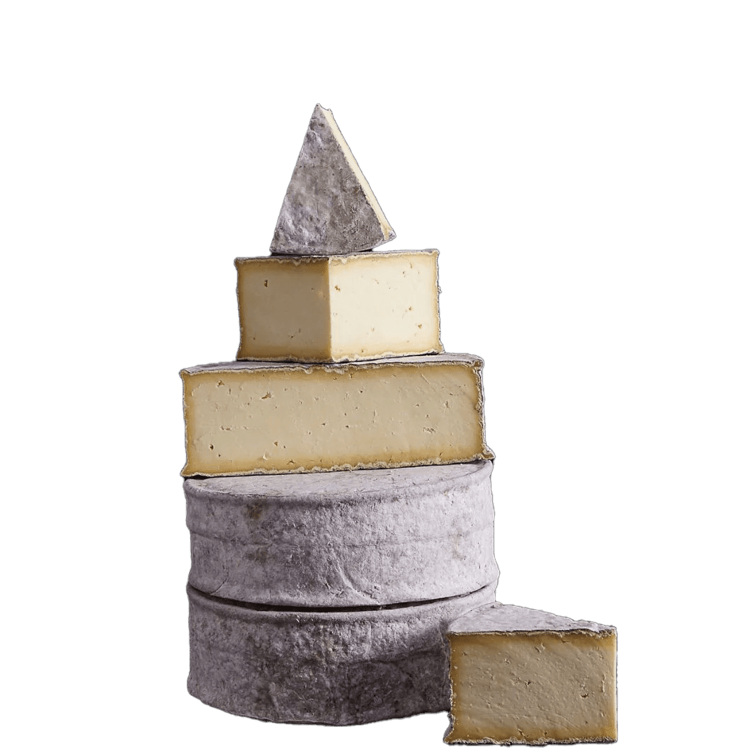 Gorwydd Caerphilly 4kg, Neal´s Yard Dairy