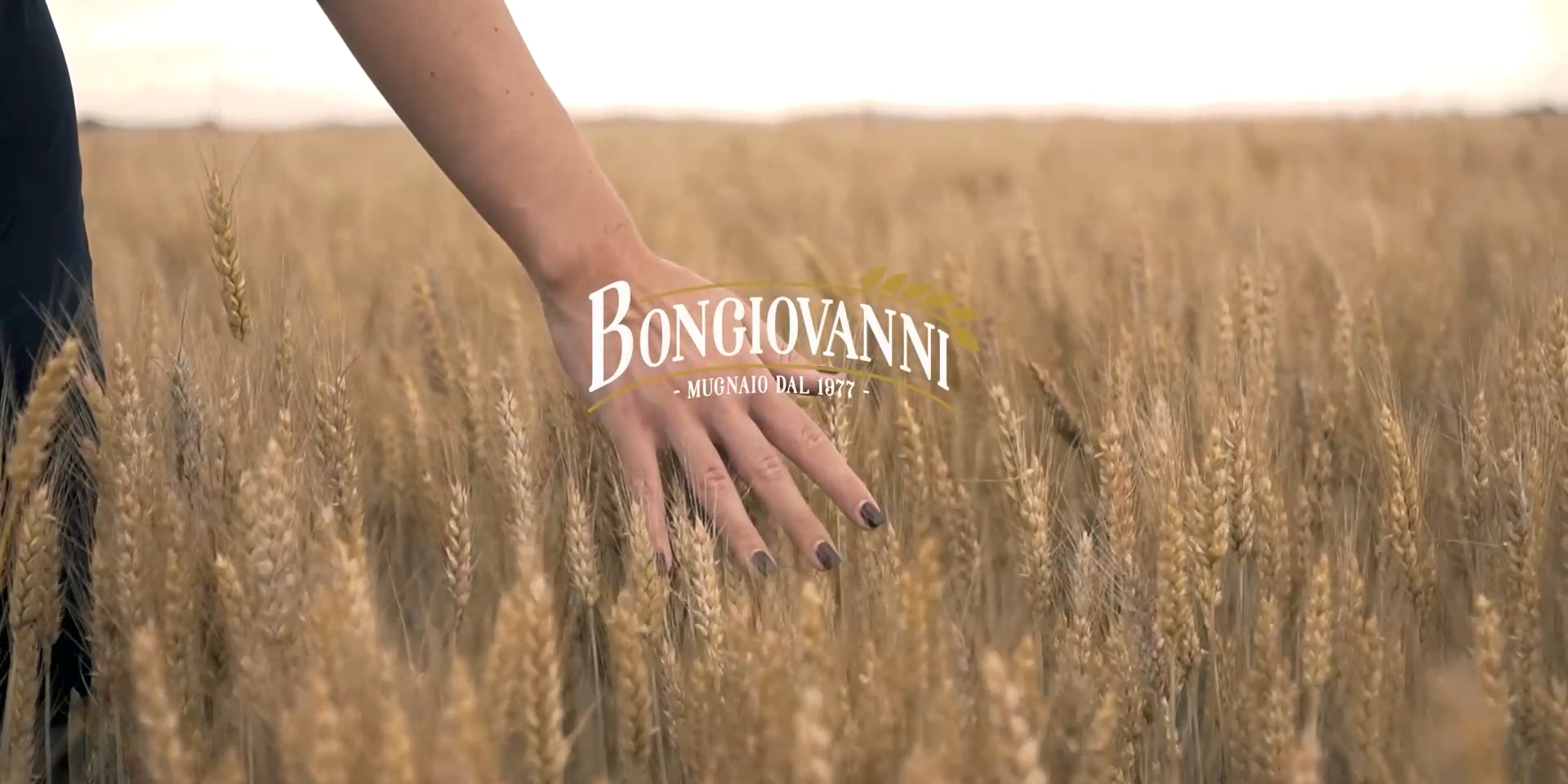 Ny Produsent: Bongiovanni