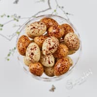 Vaktelegg Løsvekt (108 stk, 2*54 stk)