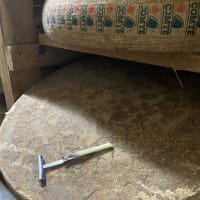 Comté AOP Reserve min 40 mnd tunnellagret (hjul), Mons