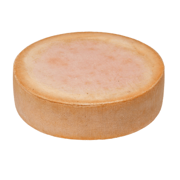 Berg Rebell (ost fra Østerrike), Guffanti