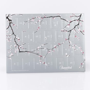 Double Christmas Calendar 529g, Summerbird