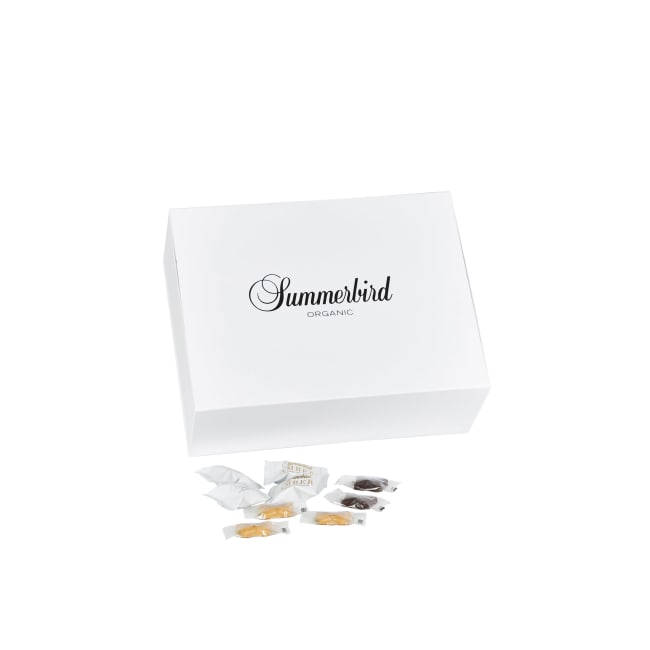 Summerbird Møtebox 1030g