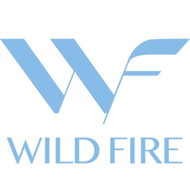 Original BBQ Sauce 5L, Wild Fire