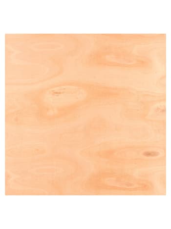 front face of 12mm structural plywood 