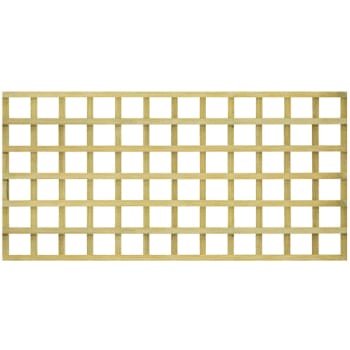 front view of 6x3 green treated trellis