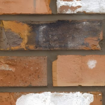 Forterra Facing Brick Chatsworth Multi Brick (Pack of 452)