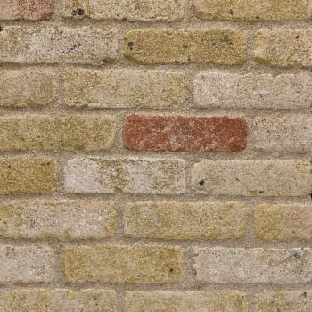 Installed Wienerberger Facing Brick Greenwich Yellow Multi Rustica Brick