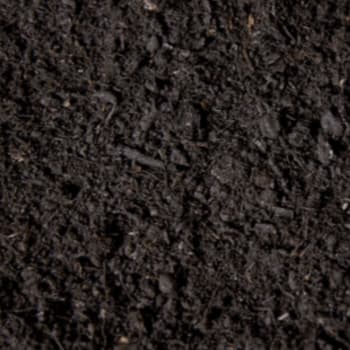 close up of compost