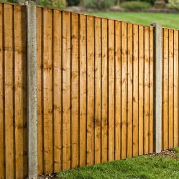 feather edge fence panel in a fence