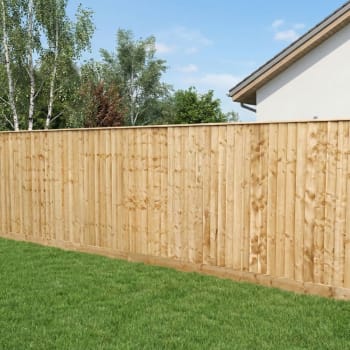 green treated feather edge fence boards in a fence