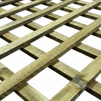 green treated trellis close up