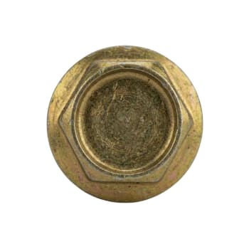 hex head timber screw head