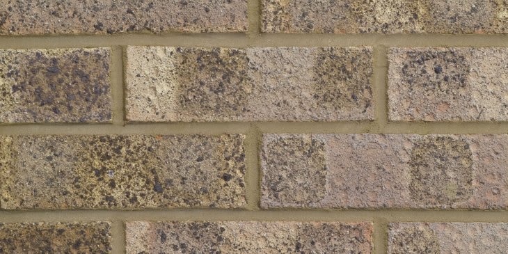 Forterra Facing Brick Cotswold