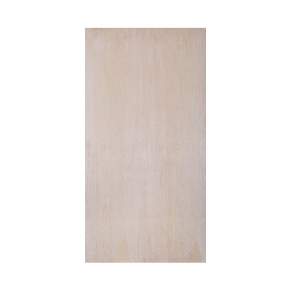 Plywood Fire-Rated Door Blank