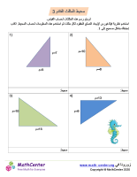 محيط المثلث القائم 3