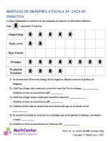 Gráficas De Imágenes A Escala 3A- Caza De Insectos