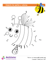 Conecta los puntos Hasta 20 - Abeja