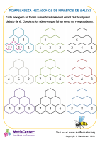 Rompecabeza Hexágonos De Números De Sally1