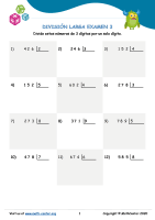 División Larga Examen 3