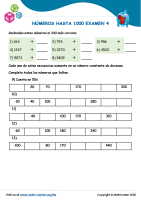 Números Hasta 1000 Examen 4