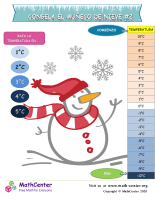 Congela El Muñeco De Nieve #2