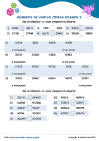 Números De Varias Cifras Examen 3