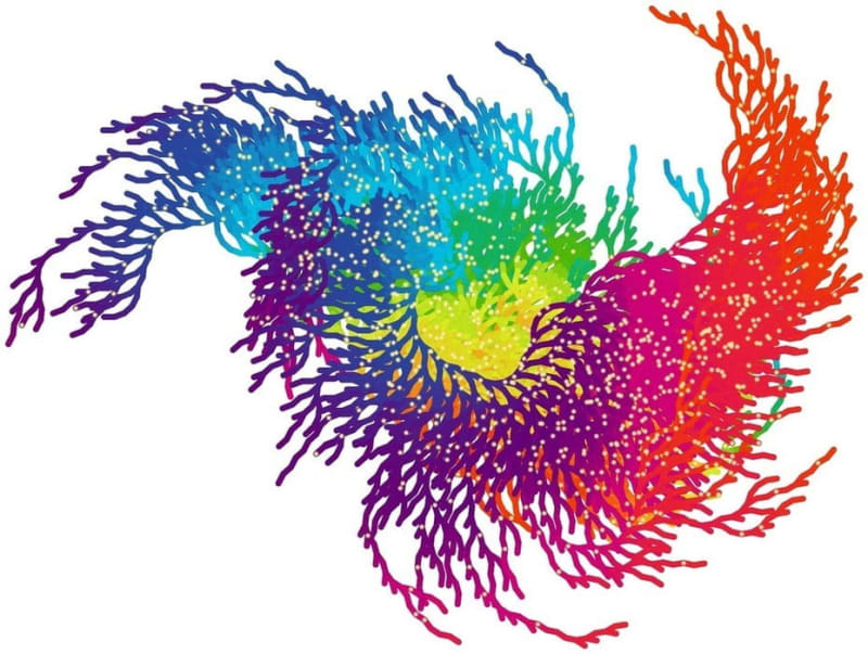 The Collatz Conjecture