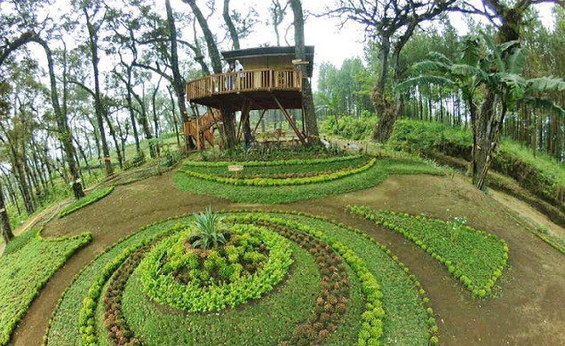 Wana Wisata Kampung Enem | matic.or.id