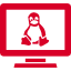 Web Development for Linux Platform Web Development for Linux Platform