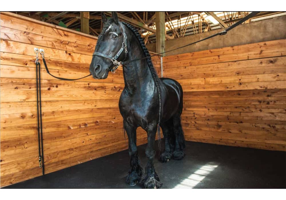 Horse Stall Mat Heavy-Duty Rubber Mat