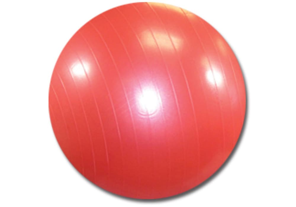 Fitness Mad Swiss 75cm Burst Resistance Workout Gym Fitness Exercise Ball & Pump 
