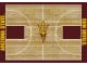 NCAA Home Court Rug