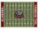 NCAA Home Field Rug