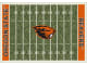 NCAA Home Field Rug