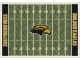 NCAA Home Field Rug