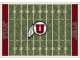 NCAA Home Field Rug