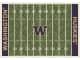 NCAA Home Field Rug