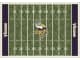 NFL Home Field Rug