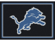 NFL Team Spirit Rug