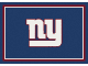 NFL Team Spirit Rug