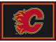 NHL Team Spirit Rug