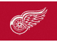 NHL Team Spirit Rug