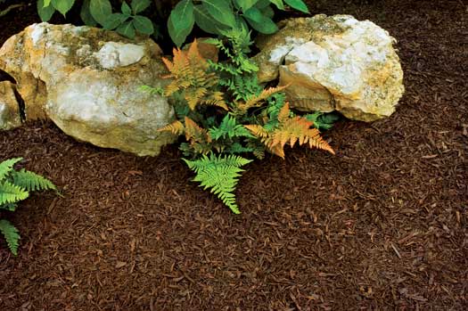 Shredded Rubber Mulch For Landscaping