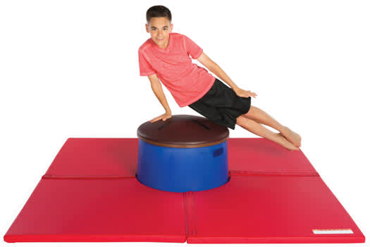 Ultra Dome Pommel Horse and Ultra Dome Mat