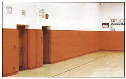 Gymnasium Wall Padding