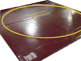 Wrestling Mat - Remnant, 10'x10' (Two 5'x10' Pieces) - Mat:Bright Blue,  Markings:None | 1