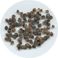 Buckwheat Hulls